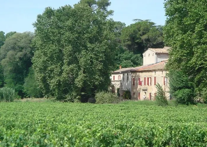 Winemaker's Near Saint-guilhem-le-desert Appartement *